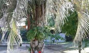 Imagem: Realize seu Sonho em ter Chácara