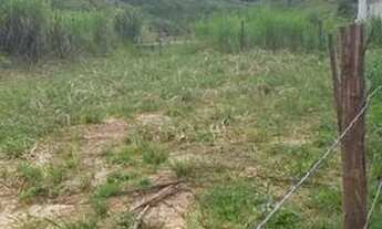 Imagem: Terreno em pinheiral