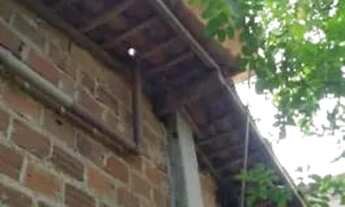 Imagem 6: Alugo casa em Marcos Freire 300,00