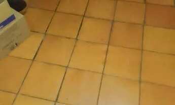 Imagem 3: Casa para alugar