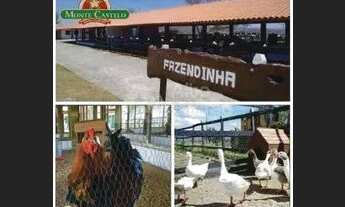 Imagem 6: OPORTUNIDADE UNICA FLAT MONTE CASTELO | 02 DORMITORIOS | Á VENDA