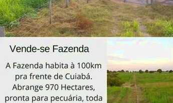 Imagem 2: Vende-se Fazenda 970 hectares