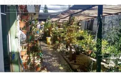 Imagem 7: Santo André - Prédio Inteiro - Jardim