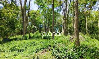 Imagem 2: Excelente terreno