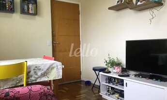 Imagem 2: São Paulo - Apartamento Padrão - Cambuci