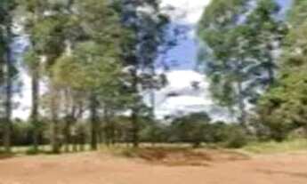 Imagem 2: FAZENDA À VENDA EM ANÁPOLIS GO Fazenda Cabeceira do Piancó / Vertente do Cavalo Morto