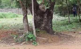 Imagem 7: Terreno de 1.119m2 em condomínio, (12km do trevo para Aparecida do Rio Negro