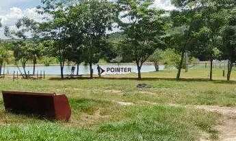 Imagem 4: Fazenda 71 alqueires em Barro Ato Goiás