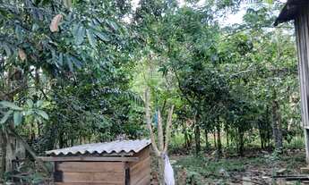 Imagem: Vende este sítio