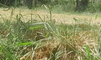 Imagem 2: Terreno em sítio novo mateus leme