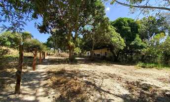 Imagem 5: Chácara a venda 5.800 m2 / Árvores frutiferas e agua