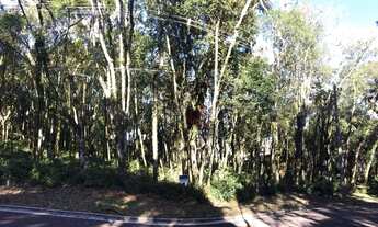 Imagem 4: Terreno à Venda no bairro Floresta em Gramado!