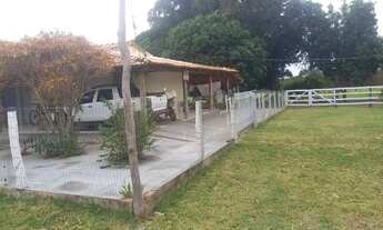 Imagem 4: Fazenda de 290 Hectares em AcorizalMT