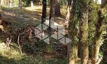 Imagem 7: Excelente terreno amplo com boa frente