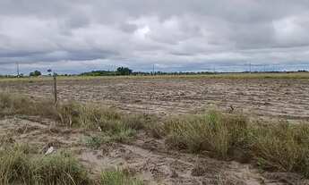 Imagem 6: Vendo se chácara