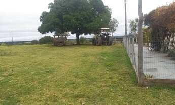 Imagem 5: Fazenda de 290 Hectares em AcorizalMT