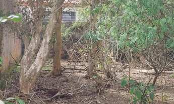 Imagem 4: Terreno na Av. Dr. Manoel Pedro