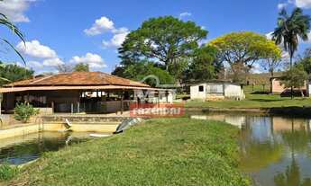Imagem 6: Fazenda 15,67 alqueires (75,84 hectares) Hidrolândia - Go