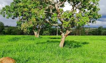 Imagem 7: Chácara à 32 km de Goiânia - Em Bonfinópolis-GO