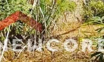 Imagem 4: Lote em Alameda dos Pinheiros - Cidade Jardim - Pirassununga/SP