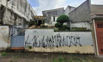 Imagem 3: Terreno residencial para venda em Campestre , 320m²