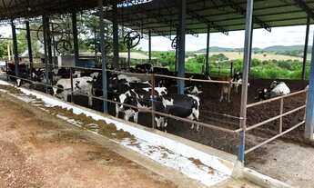 Imagem 7: Chácara 4,5 alqueires (21,69 hectares) Pontalina - Go