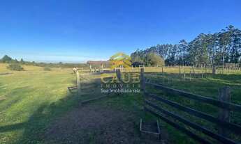 Imagem 5: Imóvel para venda possui 130000 metros quadrados com 3 quartos em Águas Claras - Viamão