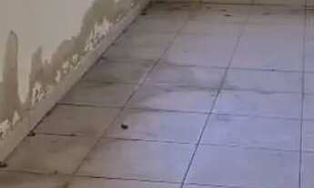 Imagem 6: Vendo casa vila iguaçuana Santa Rita