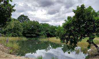 Imagem 2: Chácara 8 hectares