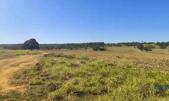 Imagem 5: Fazenda para venda, Rosário Oeste, MT - 630 Hectares