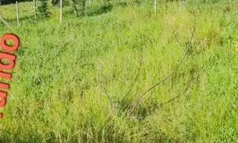 Imagem 5: Lotes e terrenos