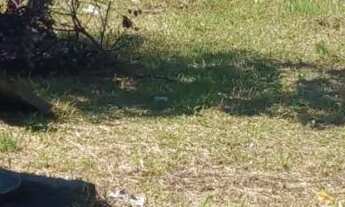 Imagem 2: Vendo casa em mage Praia de Mauá Ipiranga