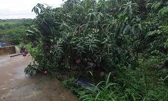 Imagem 2: Chacara 2.500 M²