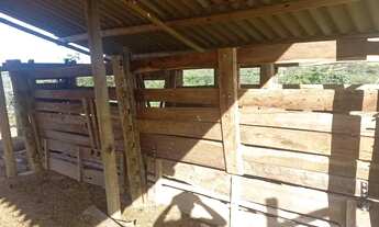 Imagem: Fazendinha 14 Alqueires.Saída Pirapora