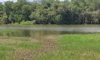 Imagem 3: Fazenda a venda margem ao Rio São Francisco 22 alqueires