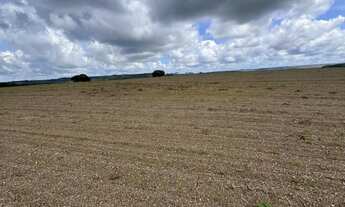 Imagem 3: Fazendinha altitude pra café patrocínio Minas Gerais