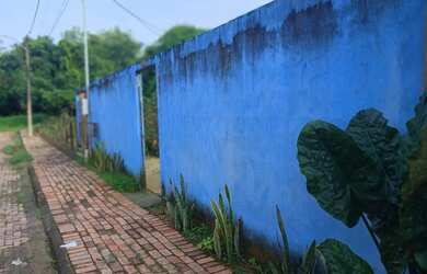 Imagem 3: Vende se uma casa