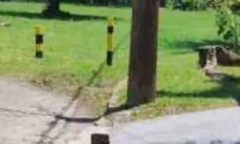 Imagem: Terreno juréia de São Sebastião cinematográfica