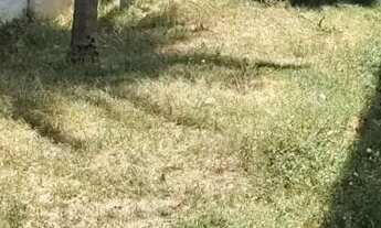 Imagem 4: Casa à venda em rua pública, BAIRRO NOVO, Olinda, PE