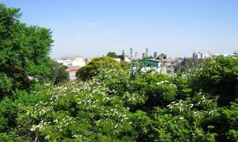 Imagem 6: Porto Alegre - Apartamento Padrão - Camaquã