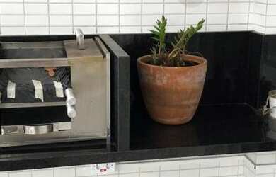 Imagem 3: Apartamento 2 Quartos São Vicente - SP - Vila Valença