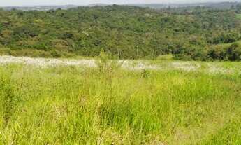 Imagem 7: Venha ter terrenos incríveis no centro de Cotia