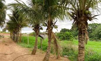 Imagem 3: Chácara Excelente 1,16 Alqueires, Bela Vista de Goiás
