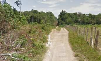 Imagem 2: Lote Grande 100 x 1.000