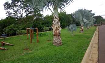 Imagem: Araçatuba - Lote/Terreno - Santa Luzia