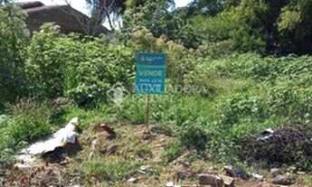 Imagem 2: ELDORADO DO SUL - Terreno Padrão - CHÁCARA