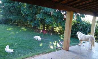 Imagem 4: Chácara com 3 dormitórios à venda, 7000 m² por R$ 870.000 - Zona Rural - Paraibuna/SP