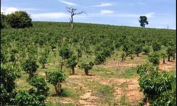 Imagem 3: Fazenda/sítios/chácaras com 1 dormitório à venda em Nepomuceno