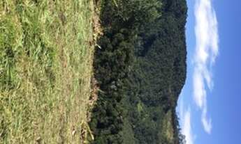 Imagem 5: Lote/Terreno para venda possui 1000 metros quadrados em Centro - Nazaré Paulista - SP