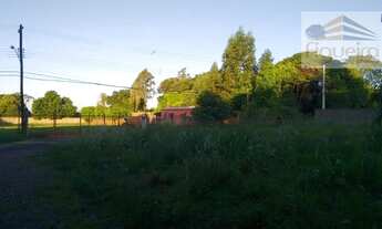 Imagem 7: Chácara rural à venda, Jardim São Paulo, Barretos